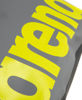 Bild på Necessär Big Logo Dry Silvergrå/Lime